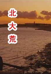 恋夜影表支持安卓uc